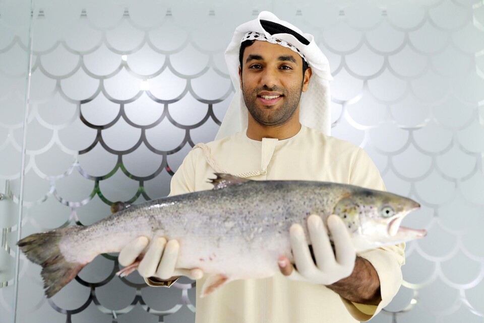Bader Bin Mubarak with one of the salmon air-freighted from Scotland as tiny juveniles 18 months ago. Photo: Pawan Singh / The National.