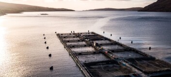 Waste capture system could help Scottish salmon sector grow