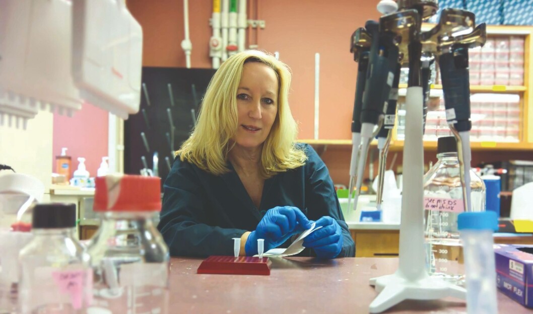 Kristi Miller is head of molecular genetics at the Pacific Biological Station in Nanaimo on Vancouver Island. Photo: PBS Kristi Miller is head of molecular genetics at the Pacific Biological Station in Nanaimo on Vancouver Island. Photo: PBS