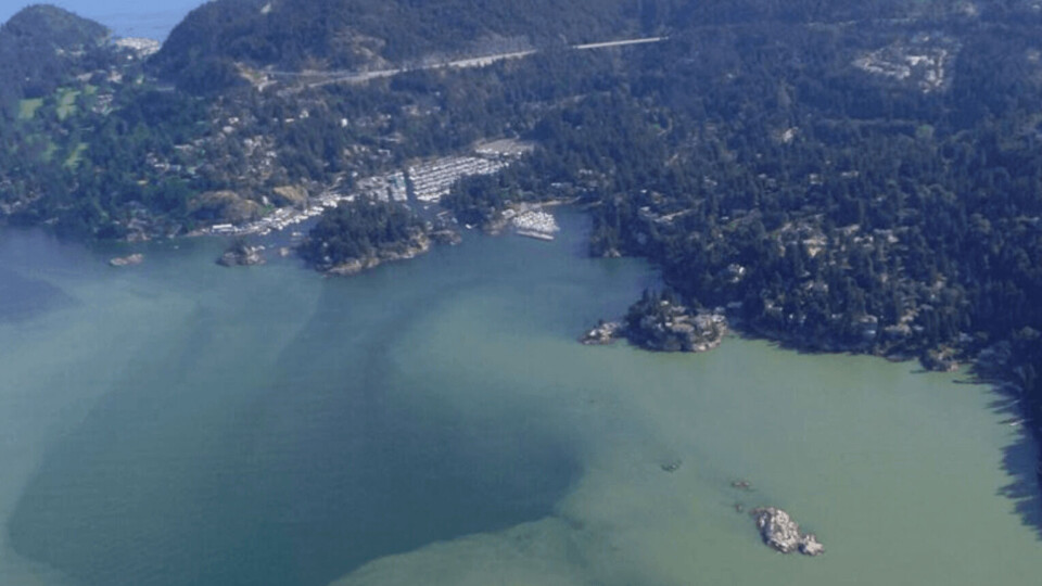 Harmful algal blooms such as this will increase in frequency because of global warming, UN experts warn.