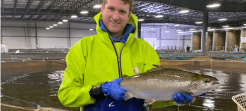 GM pioneer marks milestone with conventional salmon