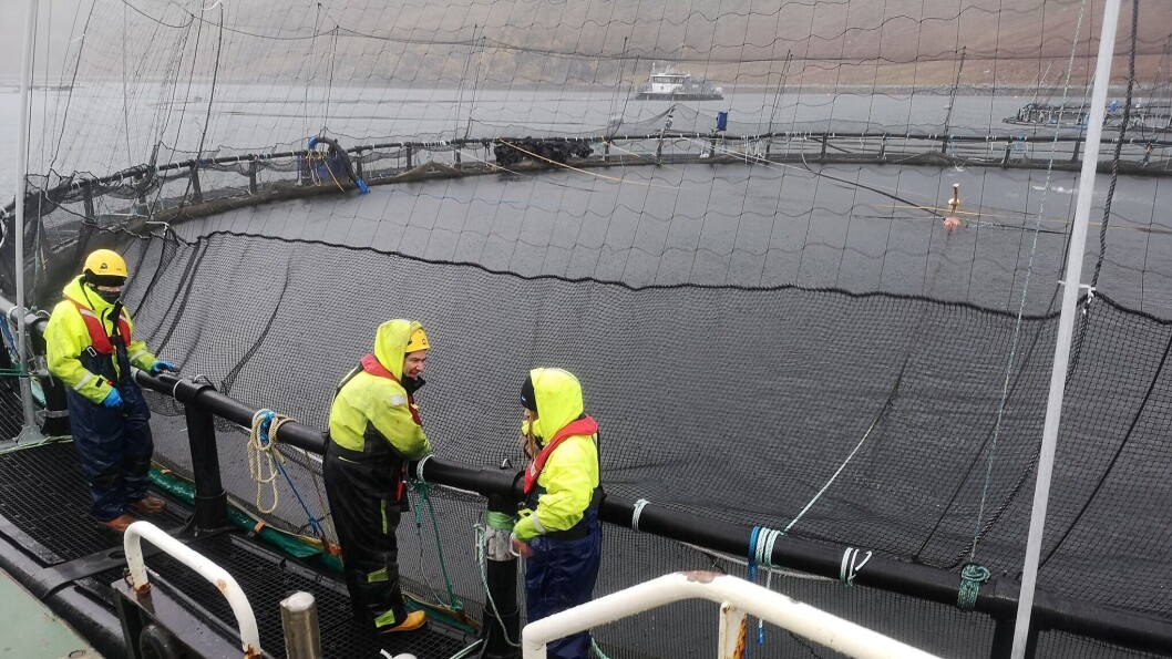 Salmon farmers at the cage edge in Scotland. The SSPO said 36 farms had taken advantage of SEPA dispensation to increase peak biomass limits. Photo: SSPO. Salmon farmers at the cage edge in Scotland. The SSPO said 36 farms had taken advantage of SEPA dispensation to increase peak biomass limits. Photo: SSPO.
