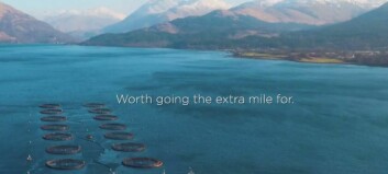 Going the extra mile to sell salmon health message