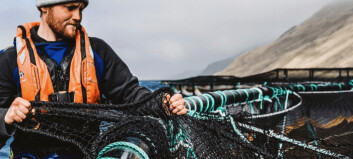 Good growth and fish health for Scottish Sea Farms