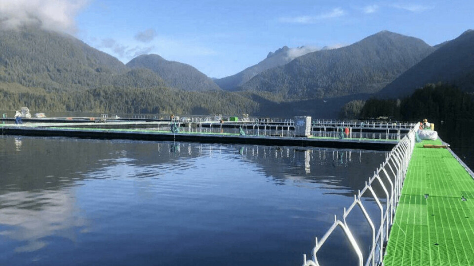 Poseidon cages in BC. The company has won Can $150,000 from Innovate BC for its Flowpressor system. Photo: Poseidon Ocean Systems.