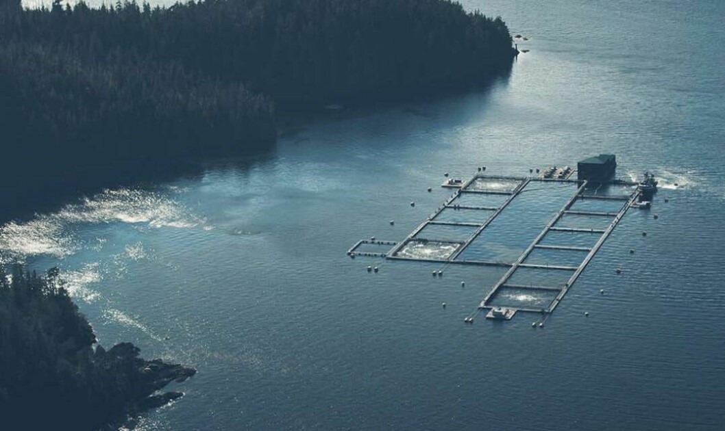 A Grieg BC salmon farm. Image: Grieg 2021 annual report.
