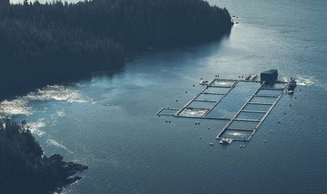 A Grieg BC salmon farm. Image: Grieg 2021 annual report. A Grieg BC salmon farm. Image: Grieg 2021 annual report.