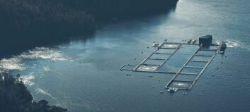 Grieg aims for 35,000 tonnes in British Columbia by 2025