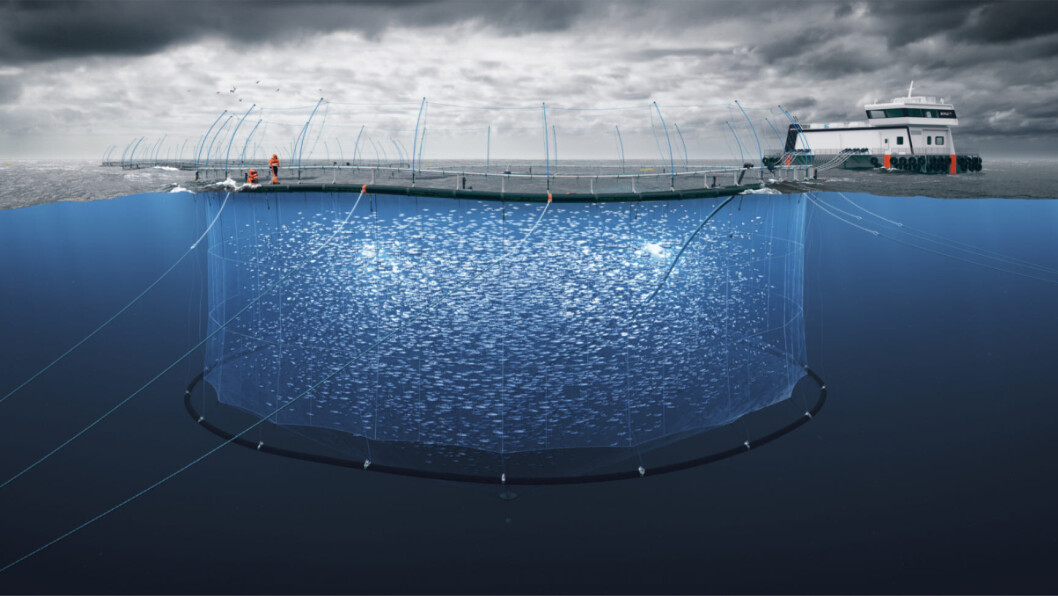 Grieg will use Scale AQ's Aqualine Midgard pens in Placentia Bay. Image: Scale AQ. Grieg will use Scale AQ's Aqualine Midgard pens in Placentia Bay. Image: Scale AQ.