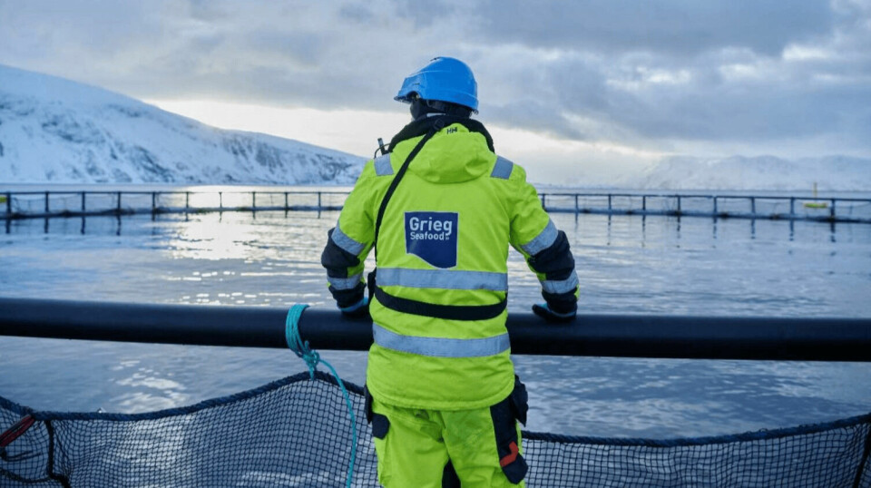 The police in Finnmark believe that Grieg Seafood has broken both the Pollution Act and the Animal Welfare Act.