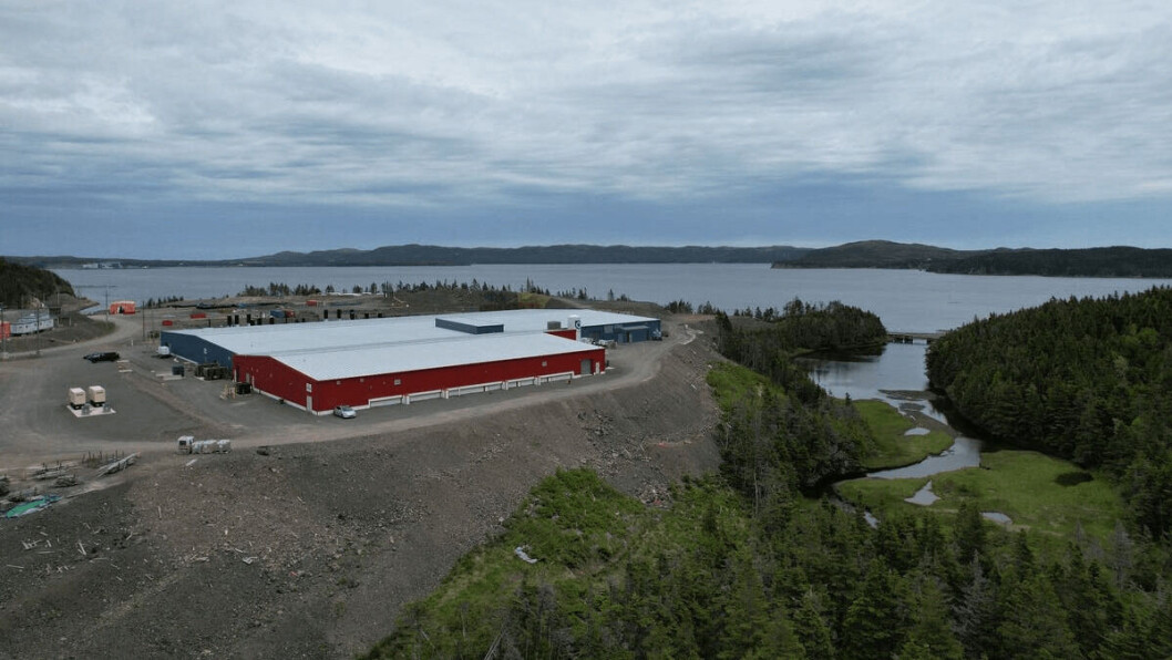 Grieg's hatchery and smolt facility in Marystown, NL, Atlantic Canada. Photo: Grieg. Grieg's hatchery and smolt facility in Marystown, NL, Atlantic Canada. Photo: Grieg.