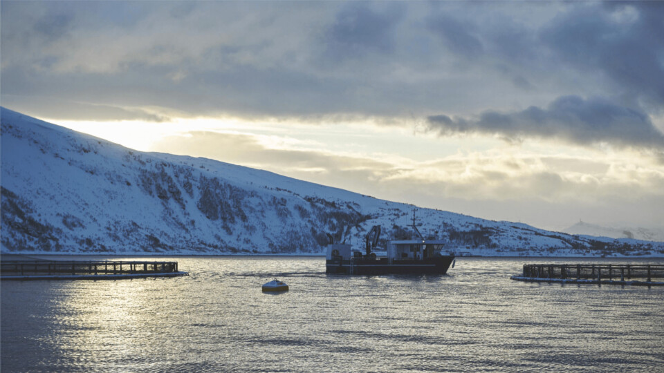 A Grieg salmon farm site in Norway. The company harvested 23,600 gwt in Norway and Canada in Q2 2022. Photo: Grieg.