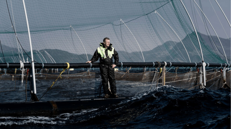 File photo of Grieg Seafood chief executive Andreas Kvame at the cage edge in Norway. Grieg had a tough Q4 but will see better results this year, Kvame says.