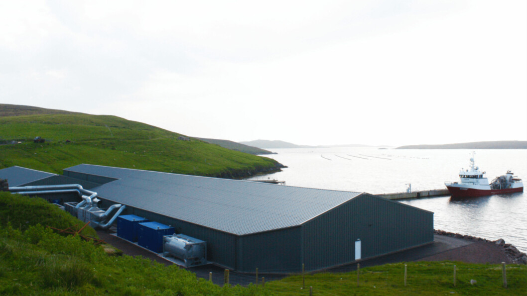 The Girlsta hatchery is now part of SSF's estate following its £164m purchase of Grieg Seafood Hjaltland. Photo: Grieg.