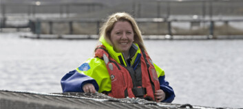 Dawnfresh farming chief and Shetland Mussels MD join SAIC board