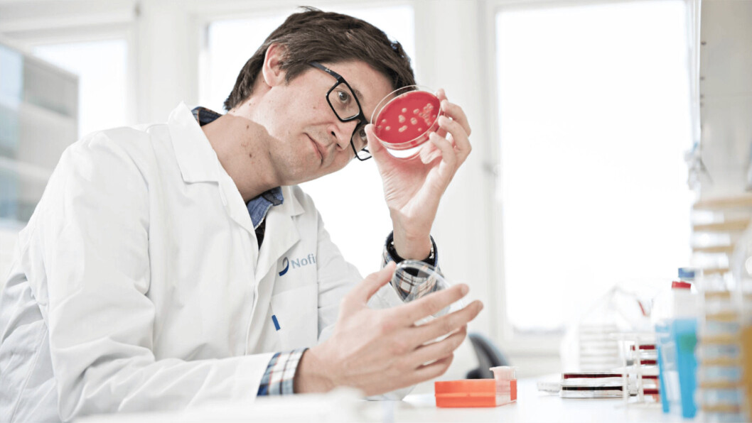 Nofima scientist Christian Karlsen investigates the role that bacteria play in fish health. Photo: Jon-Are Berg-Jacobsen / Nofima. Nofima scientist Christian Karlsen investigates the role that bacteria play in fish health. Photo: Jon-Are Berg-Jacobsen / Nofima.