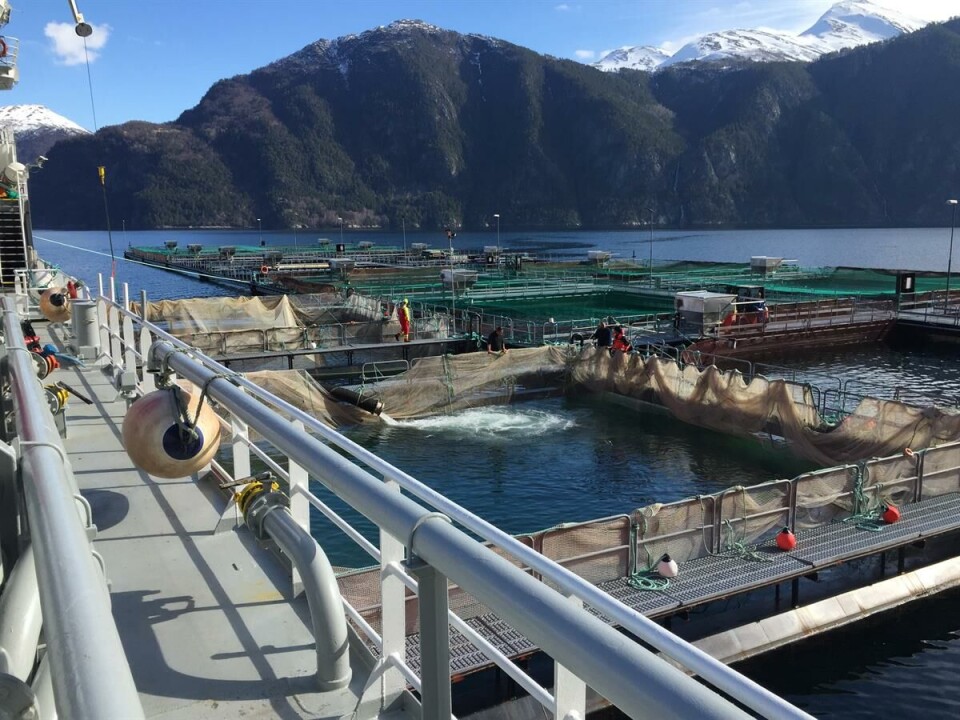 Optilice in operation. Photo: Seaside.