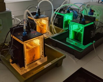 Microalgae being grown under LED light at Xanthella's laboratory at Malin House, Dunstaffnage, Oban. Photo: Xanthella. Microalgae being grown under LED light at Xanthella's laboratory at Malin House, Dunstaffnage, Oban. Photo: Xanthella.