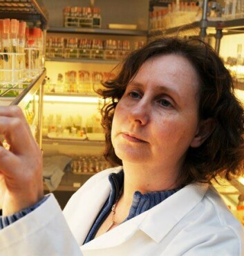 Professor Michele Stanley: "Discoveries like this show the real value of applied research projects." Photo: SAMS. Professor Michele Stanley: "Discoveries like this show the real value of applied research projects." Photo: SAMS.