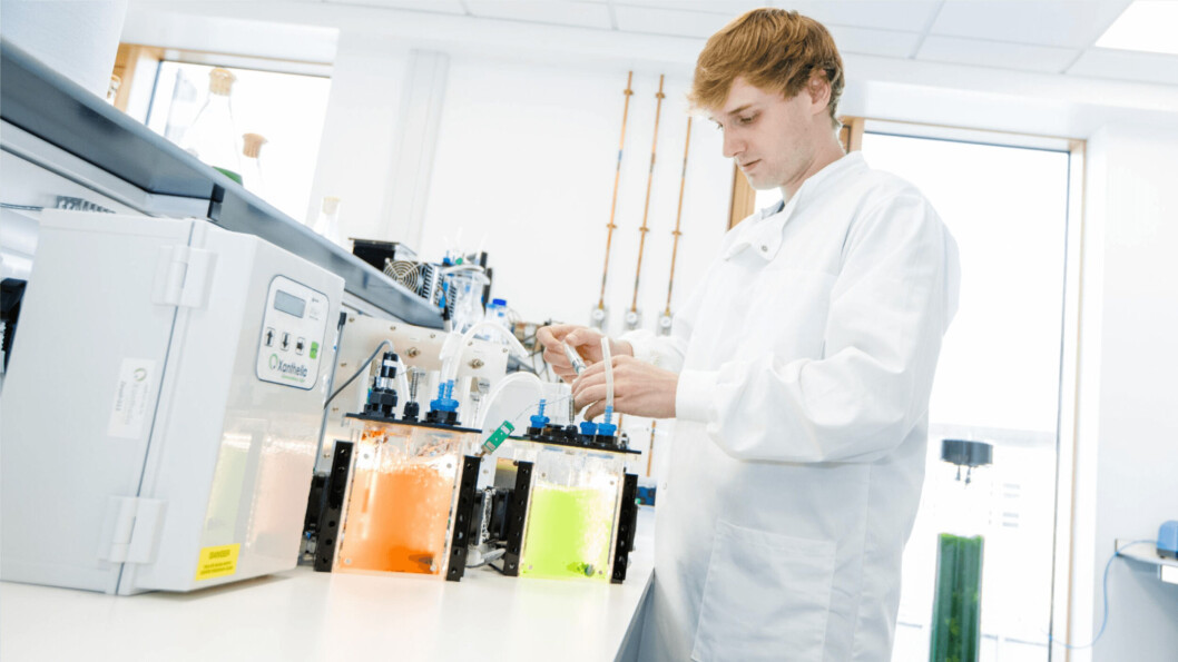 A researcher at work in the Xanthella lab. Photo: Xanthella / IBioIC. A researcher at work in the Xanthella lab. Photo: Xanthella / IBioIC.