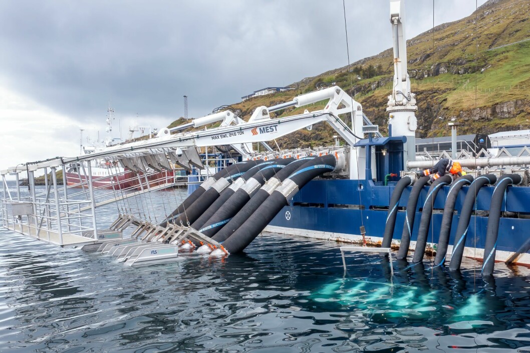 The FLS Caligus delousing system recently installed on Faroese salmon farmer Bakkafrost's MS Martin wellboat by MEST Shipyard. An FLS system is also due to be installed on the MS Bakkanes, which will operate for the Scottish Salmon Company. Photo: MEST Shipyard.