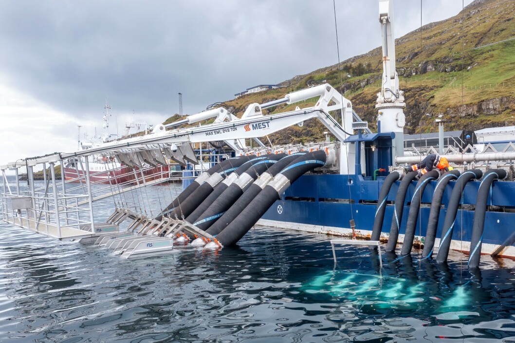 The FLS Caligus delousing system recently installed on Faroese salmon farmer Bakkafrost's MS Martin wellboat by MEST Shipyard. An FLS system is also due to be installed on the MS Bakkanes, which will operate for the Scottish Salmon Company. Photo: MEST Shipyard. The FLS Caligus delousing system recently installed on Faroese salmon farmer Bakkafrost's MS Martin wellboat by MEST Shipyard. An FLS system is also due to be installed on the MS Bakkanes, which will operate for the Scottish Salmon Company. Photo: MEST Shipyard.