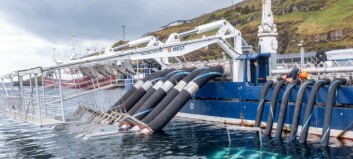 Demand for delousing systems boosts Flatsetsund revenue by 80%