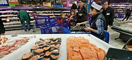 Demand for salmon drives record sales for Norway