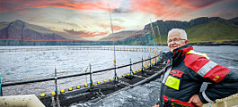 HiddenFjord slashing salmon time in sea to five months