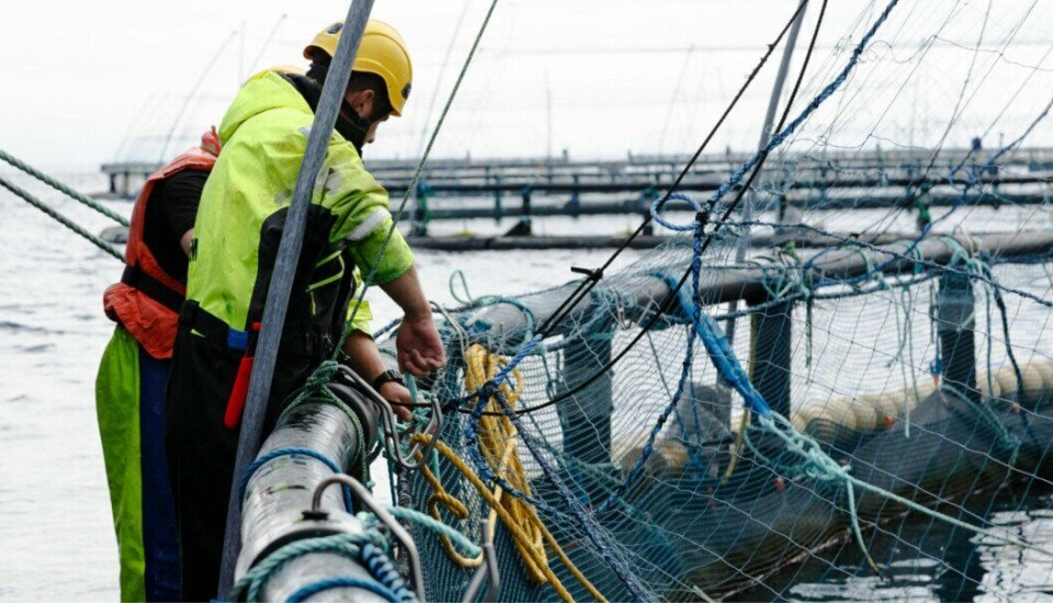 Mowi achieved higher revenues in the second quarter of 2022 compared to the same quarter in 2021. Photo: Mowi