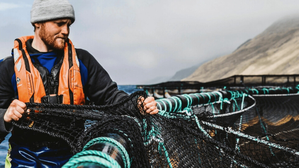 The Open Farm initiative would have given more people the chance to see salmon farmers at work. File photo: Scottish Sea Farms.