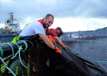 Tanks for the memory: Guy Tindall, front, has swapped a diving job for work on the surface. Click on image to enlarge. Photo: Joseph Macdonald. Tanks for the memory: Guy Tindall, front, has swapped a diving job for work on the surface. Click on image to enlarge. Photo: Joseph Macdonald.