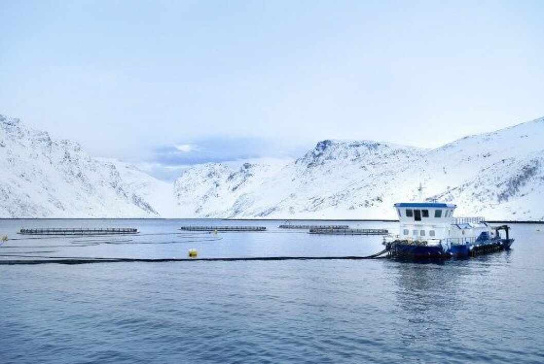 Norway Royal Salmon harvested 7,181 tonnes gutted weight during the first quarter of 2017. Norway Royal Salmon harvested 7,181 tonnes gutted weight during the first quarter of 2017.