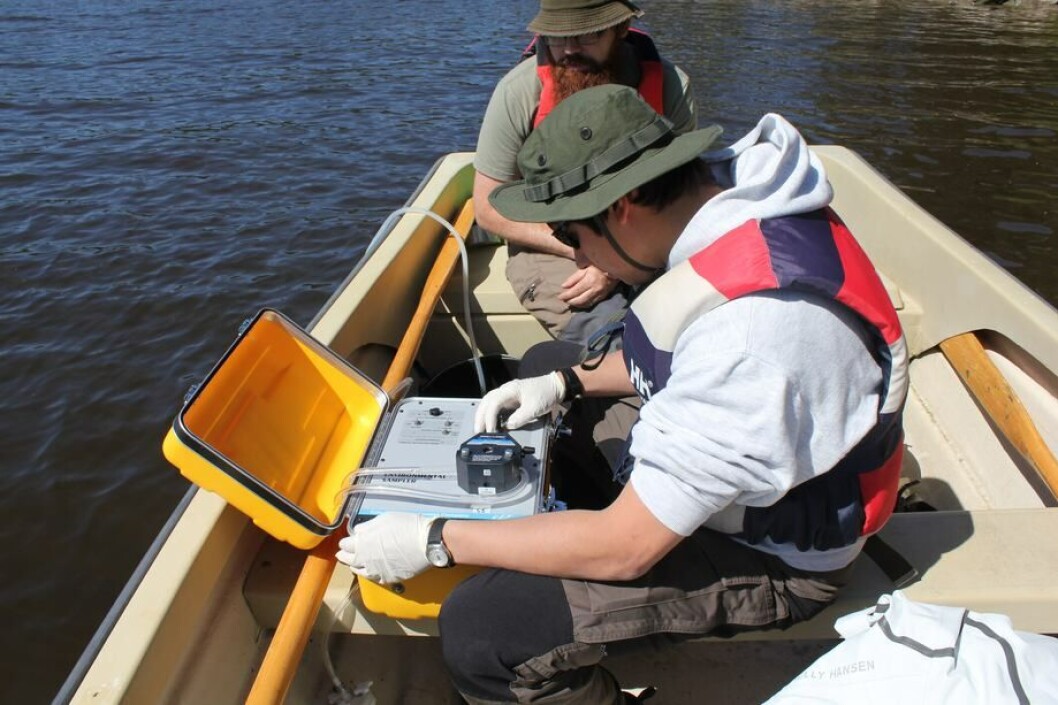 Sampling water for eDNA analysis during crayfish plague surveillance. Photo: Trude Vrålstad / Veterinary Institute. Sampling water for eDNA analysis during crayfish plague surveillance. Photo: Trude Vrålstad / Veterinary Institute.