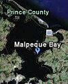 DFO contract for PEI shellfish management plan