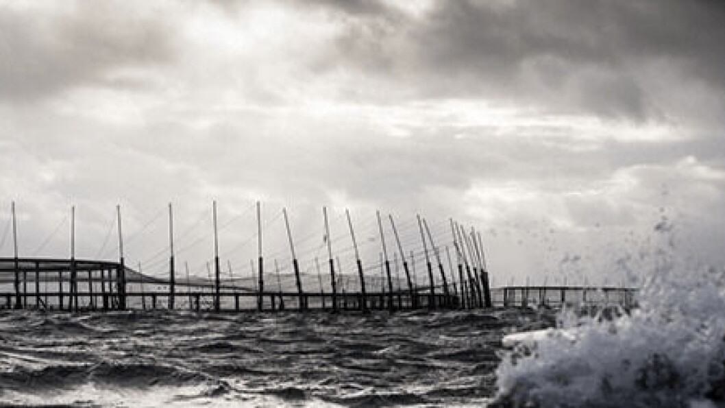 A Huon Fortress pen in Storm Bay. Between 120,000 and 130,000 recently-stocked salmon escaped from such a pen after the net was damaged in cleaning operations. Photo: Huon. A Huon Fortress pen in Storm Bay. Between 120,000 and 130,000 recently-stocked salmon escaped from such a pen after the net was damaged in cleaning operations. Photo: Huon.