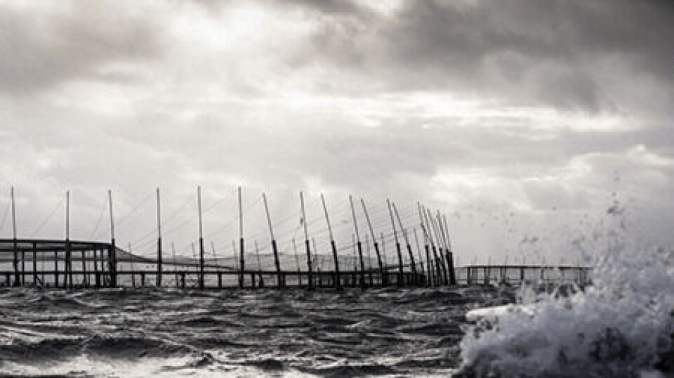 A Huon Fortress pen in Storm Bay.