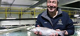 Huon bids to cut time at sea with 1kg nursery salmon