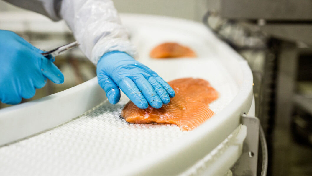 Huon has been producing more fish but was hit hard by the drop in demand caused by Covid restrictions. Photo: Huon. Huon has been producing more fish but was hit hard by the drop in demand caused by Covid restrictions. Photo: Huon.