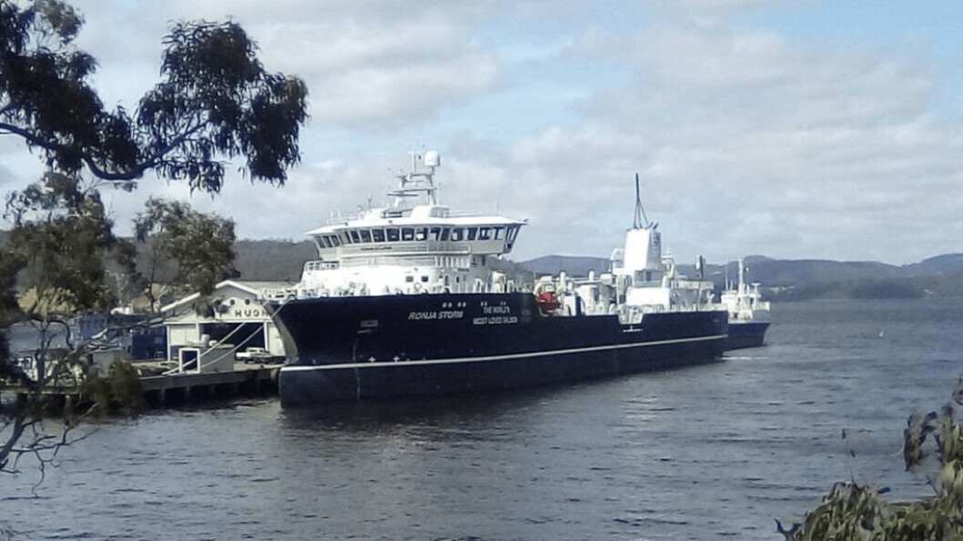 The Ronja Storm, pictured at Port Huon, Tasmania, has set what is believed to be a new record for a wellboat bath treatment. Photo: Huon. The Ronja Storm, pictured at Port Huon, Tasmania, has set what is believed to be a new record for a wellboat bath treatment. Photo: Huon.
