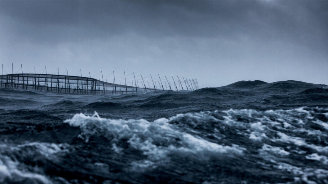 A Huon Fortress cage in Storm Bay, Tasmania. The company is growing more fish but selling them for less than in FY2020. Photo: Huon. A Huon Fortress cage in Storm Bay, Tasmania. The company is growing more fish but selling them for less than in FY2020. Photo: Huon.