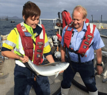 Peter Bender admires a kingfish grown at Port Stephens. The latest figures highlight the challenges fish farmers face, he says.