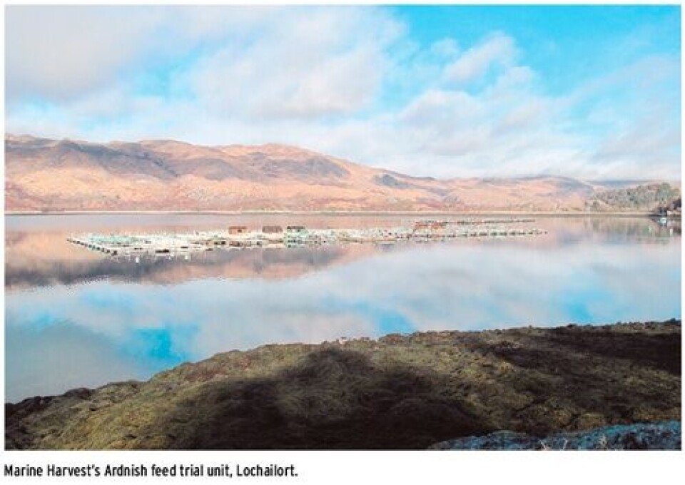 Dietary enrichment to address triploid Atlantic salmon malformations and improve performance