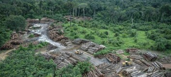 Huon suitor JBS and Cargill join bid to end deforestation