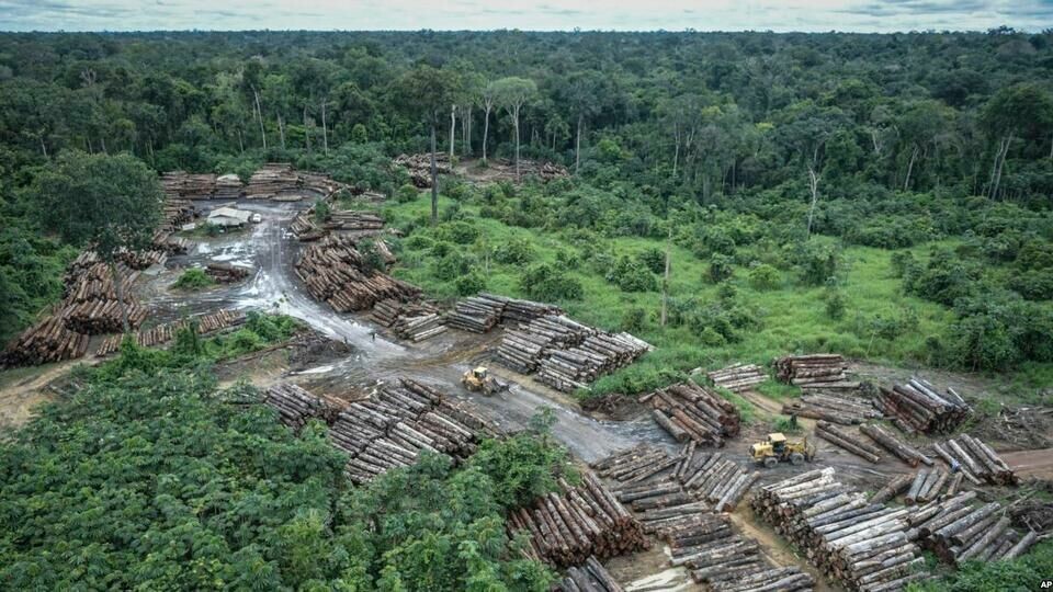 An illegally deforested area in Brazil's Amazon basin. JBS, Cargill and Bunge are among global commodities companies that have committed to ending supply chain deforestation. Photo: Brazilian Environmental and Renewable Natural Resources Institute.
