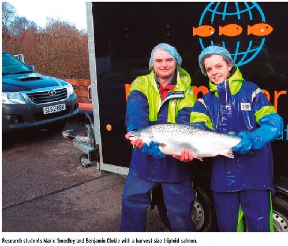 Dietary enrichment to address triploid Atlantic salmon malformations and improve performance