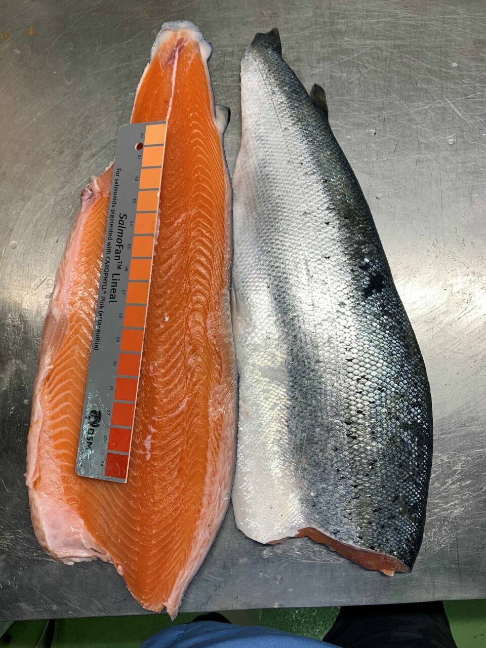 Ice Fish Farms' salmon have a strong colour.