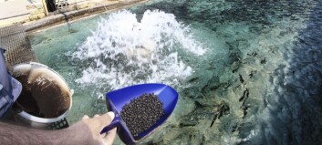 IFFO questions antibiotic-resistant fishmeal claims