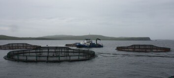 Fish farm licence overhaul looms