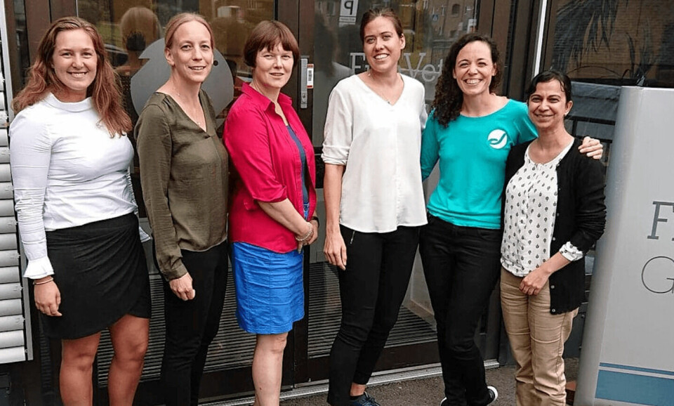 Part of the project group met in Oslo in September to discuss details of the project plan. From left to: Benedicte Simensen (Marine Harvest), Marianne Kraugerud, Hege Hellberg, Liv Østevik, Marta Alarcón (all FVGN) and Farah Manji (Marine Harvest). Photo: FVGN
